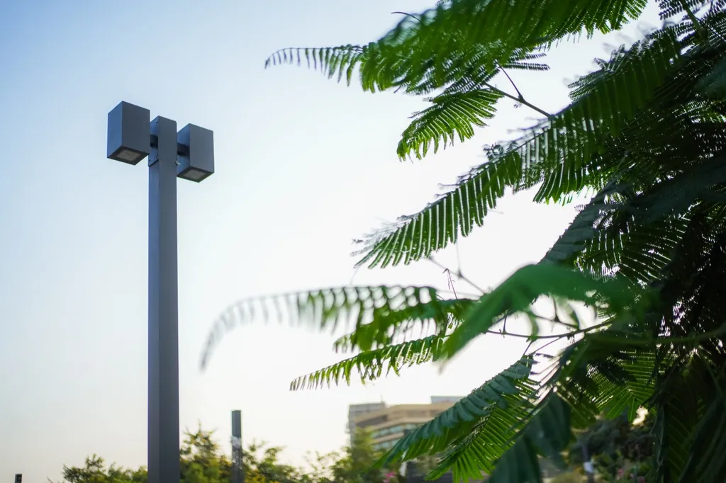 Pole with twin box luminaires among trees, Central Park, GIFT City
