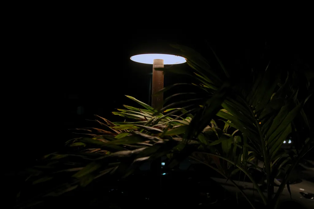 The disc head of a post top above palm fronds at night