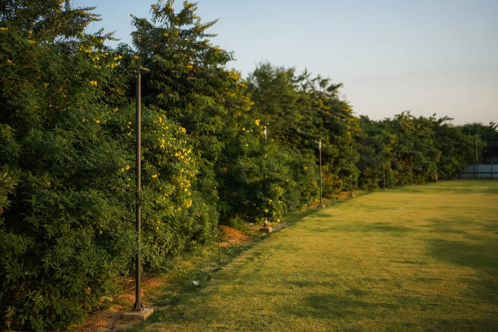 Slim poles along the planted edge of the lawn by day