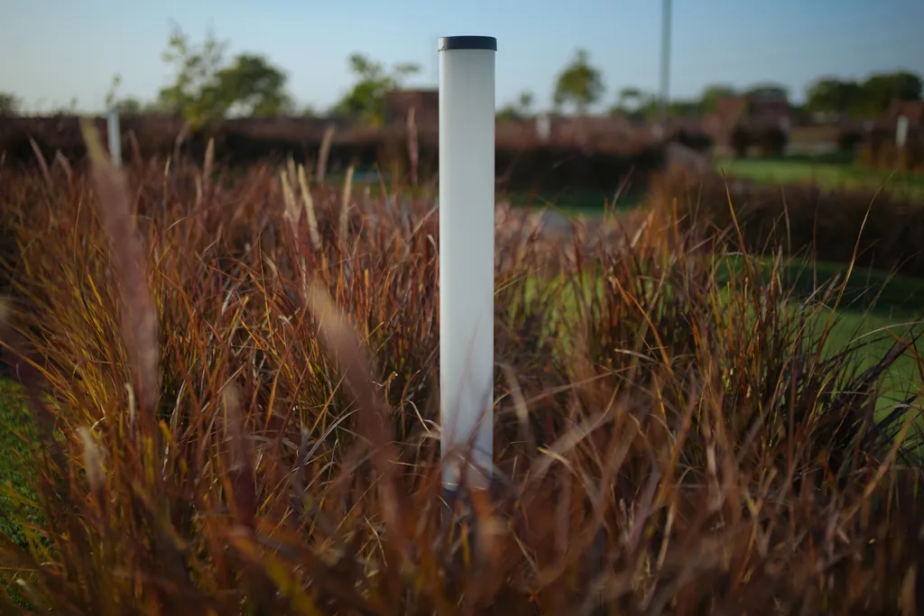 Tube bollard rising from red ornamental grasses on the putting course