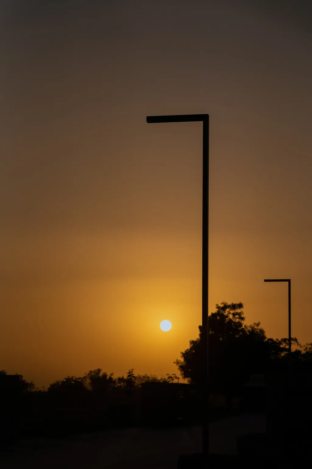 Silhouettes of single-arm light poles against the setting sun